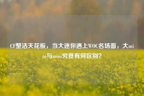 CF整活天花板,当大迷你遇上WOC名场面,大mini与mini究竟有何区别?