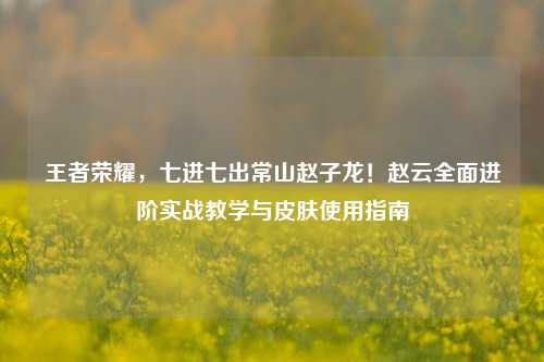 王者荣耀，七进七出常山赵子龙！赵云全面进阶实战教学与皮肤使用指南