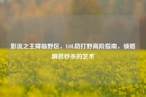 影流之主降临野区,LOL劫打野高阶指南,领略瞬息秒杀的艺术