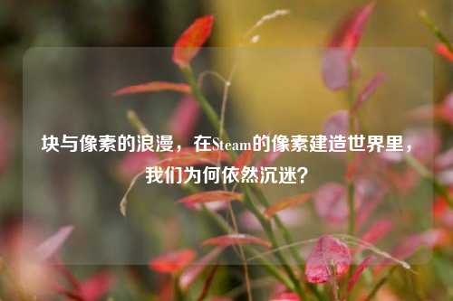 块与像素的浪漫,在Steam的像素建造世界里,我们为何依然沉迷?
