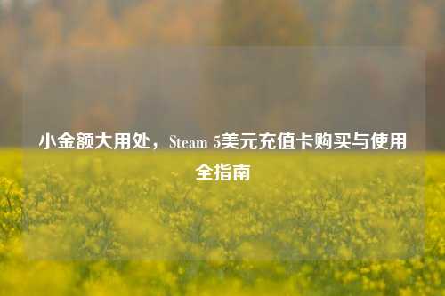 小金额大用处，Steam 5美元充值卡购买与使用全指南