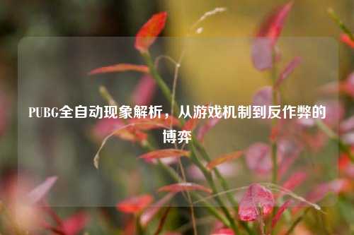 PUBG全自动现象解析,从游戏机制到反作弊的博弈