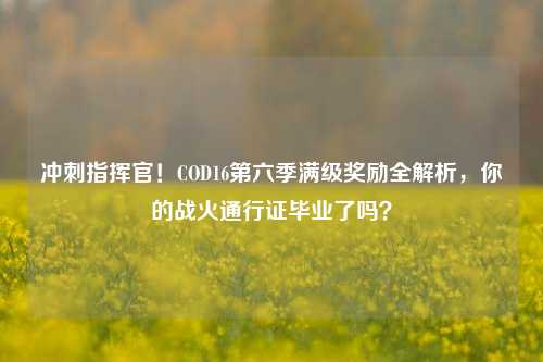 冲刺指挥官!COD16第六季满级奖励全解析,你的战火通行证毕业了吗?