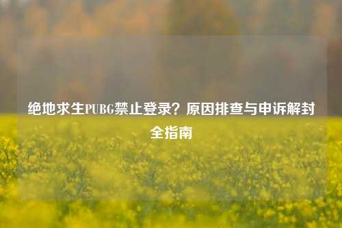 绝地求生PUBG禁止登录?原因排查与申诉解封全指南