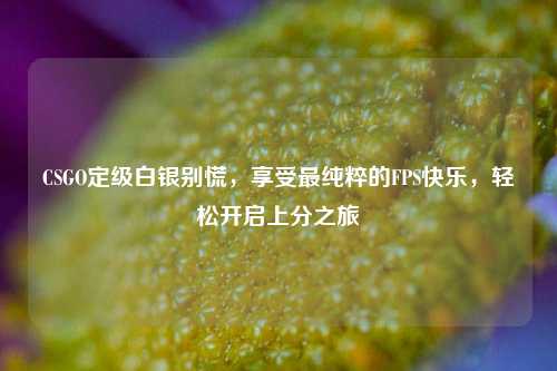 CSGO定级白银别慌,享受最纯粹的FPS快乐,轻松开启上分之旅