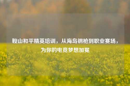 鞍山和平精英培训，从海岛钢枪到职业赛场，为你的电竞梦想加冕