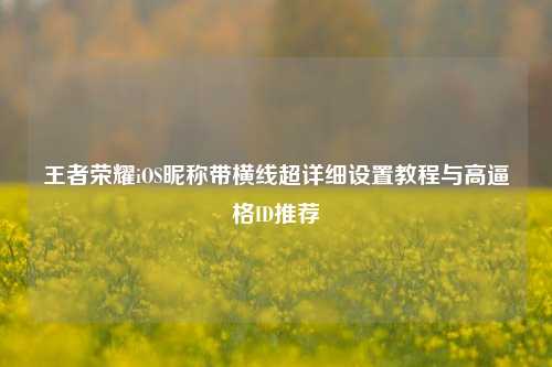 王者荣耀iOS昵称带横线超详细设置教程与高逼格ID推荐