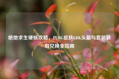 绝地求生硬核攻略,PUBG皮肤CDK头盔与套装获取兑换全指南