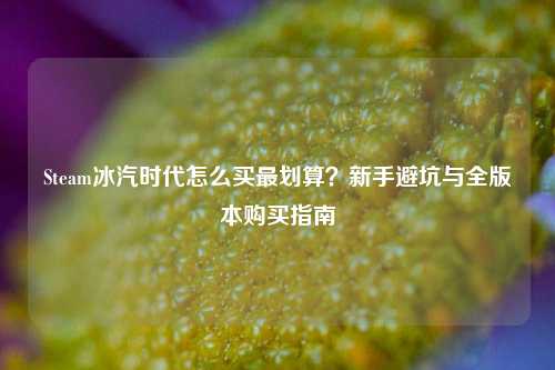Steam冰汽时代怎么买最划算?新手避坑与全版本购买指南