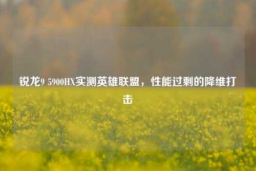 锐龙9 5900HX实测英雄联盟,性能过剩的降维打击