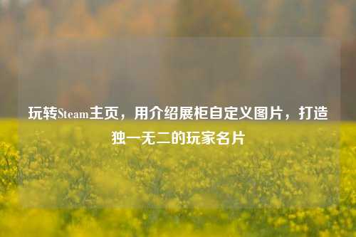 玩转Steam主页,用介绍展柜自定义图片,打造独一无二的玩家名片