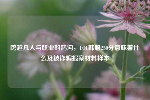 跨越凡人与职业的鸿沟,LOL韩服250分意味着什么及被诈骗报案材料样本