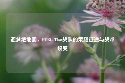 逐梦绝地圈，PUBG Tian战队的荣耀征途与战术蜕变