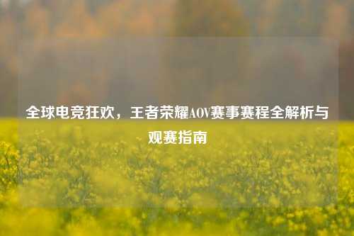 全球电竞狂欢,王者荣耀AOV赛事赛程全解析与观赛指南