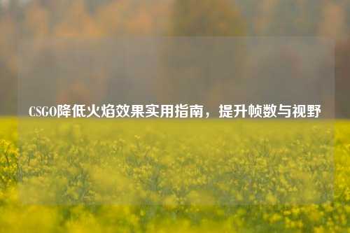 CSGO降低火焰效果实用指南,提升帧数与视野