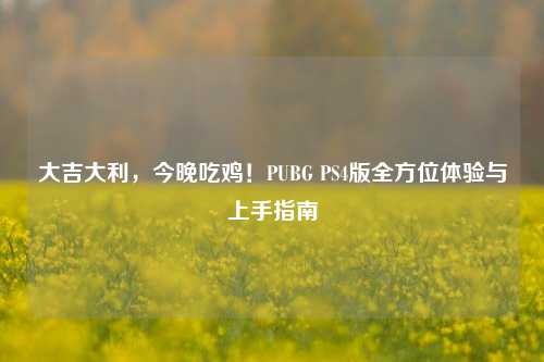 大吉大利,今晚吃鸡!PUBG PS4版全方位体验与上手指南