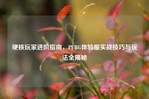 硬核玩家进阶指南,PUBG体验服实战技巧与玩法全揭秘