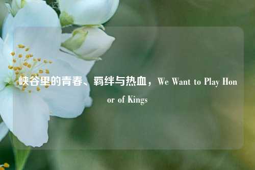 峡谷里的青春、羁绊与热血，We Want to Play Honor of Kings