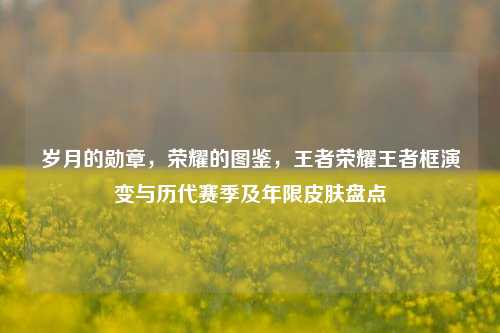 岁月的勋章,荣耀的图鉴,王者荣耀王者框演变与历代赛季及年限皮肤盘点
