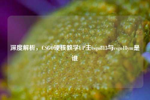 深度解析，CSGO硬核教学UP主csgo813与csgo18ym是谁