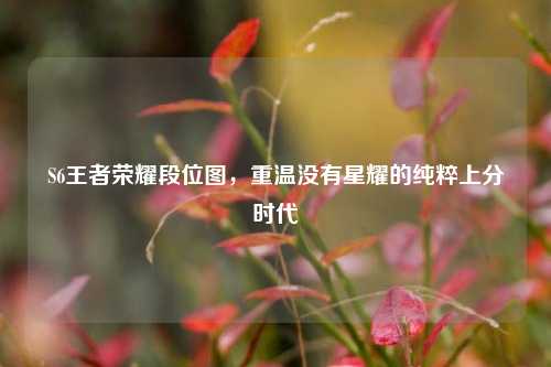 S6王者荣耀段位图，重温没有星耀的纯粹上分时代
