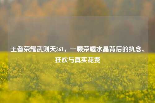 王者荣耀武则天361,一颗荣耀水晶背后的执念、狂欢与真实花费
