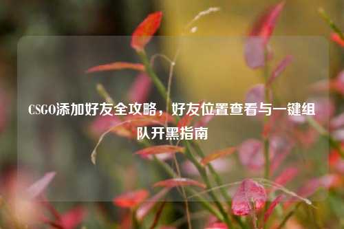 CSGO添加好友全攻略,好友位置查看与一键组队开黑指南