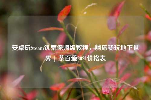 安卓玩Steam饥荒保姆级教程,躺床畅玩地下世界 | 茶百道2021价格表