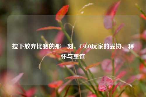 按下放弃比赛的那一刻,CSGO玩家的妥协、释怀与重连
