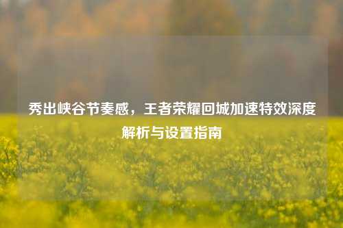 秀出峡谷节奏感,王者荣耀回城加速特效深度解析与设置指南