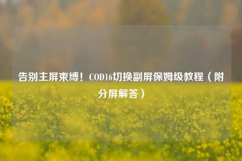 告别主屏束缚!COD16切换副屏保姆级教程(附分屏解答)