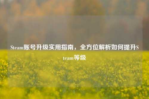 Steam账号升级实用指南,全方位解析如何提升Steam等级
