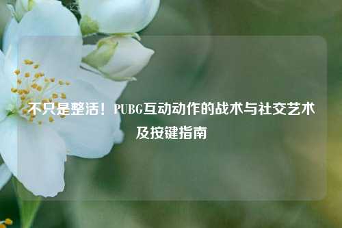 不只是整活!PUBG互动动作的战术与社交艺术及按键指南