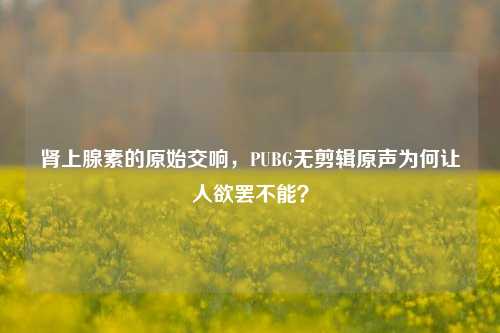 肾上腺素的原始交响,PUBG无剪辑原声为何让人欲罢不能?