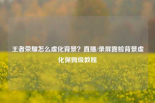 王者荣耀怎么虚化背景?直播/录屏露脸背景虚化保姆级教程