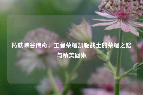 铸就峡谷传奇,王者荣耀凯旋战士的荣耀之路与精美图集