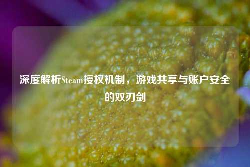 深度解析Steam授权机制,游戏共享与账户安全的双刃剑