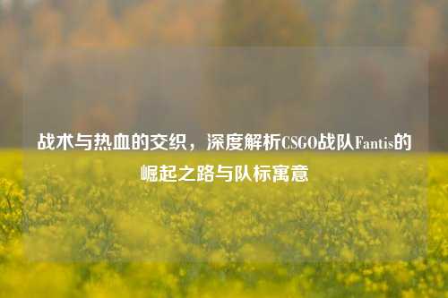 战术与热血的交织,深度解析CSGO战队Fantis的崛起之路与队标寓意