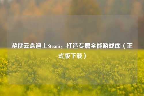 游侠云盒遇上Steam,打造专属全能游戏库(正式版下载)