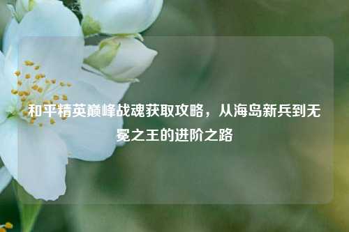 和平精英巅峰战魂获取攻略,从海岛新兵到无冕之王的进阶之路