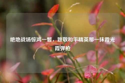 绝地战场惊鸿一瞥,致敬和平精英那一抹霞光霞弹枪