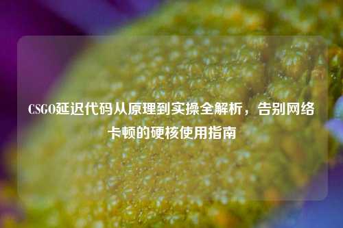 CSGO延迟代码从原理到实操全解析,告别网络卡顿的硬核使用指南