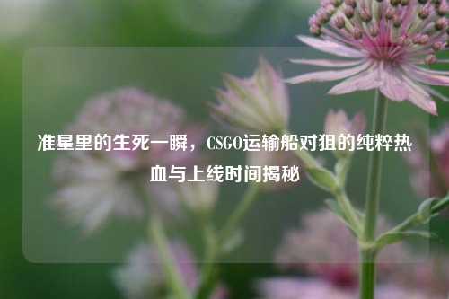 准星里的生死一瞬,CSGO运输船对狙的纯粹热血与上线时间揭秘