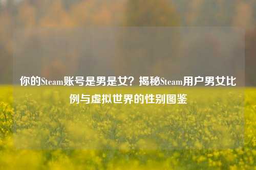 你的Steam账号是男是女？揭秘Steam用户男女比例与虚拟世界的性别图鉴