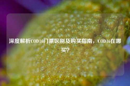 深度解析COD16门票区别及购买指南,COD16在哪买?