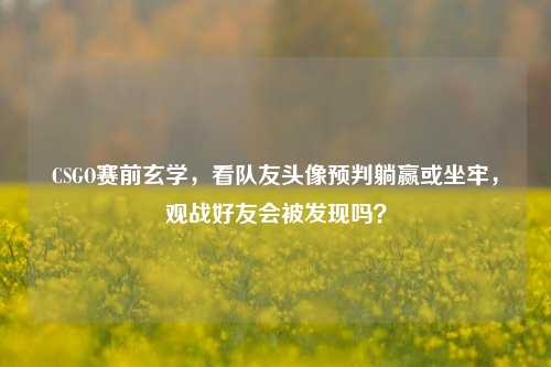 CSGO赛前玄学,看队友头像预判躺赢或坐牢,观战好友会被发现吗?