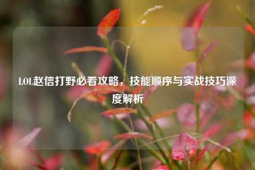 LOL赵信打野必看攻略,技能顺序与实战技巧深度解析