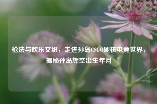 枪法与欢乐交织,走进孙岛CSGO硬核电竞世界,揭秘孙岛辉空出生年月