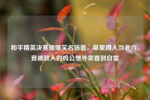 和平精英决赛圈爆笑名场面,草里蹲人当老六,竟被敌人的鸡公煲外卖香到自雷