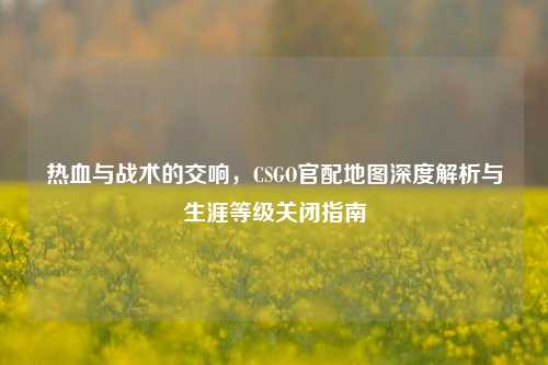 热血与战术的交响,CSGO官配地图深度解析与生涯等级关闭指南